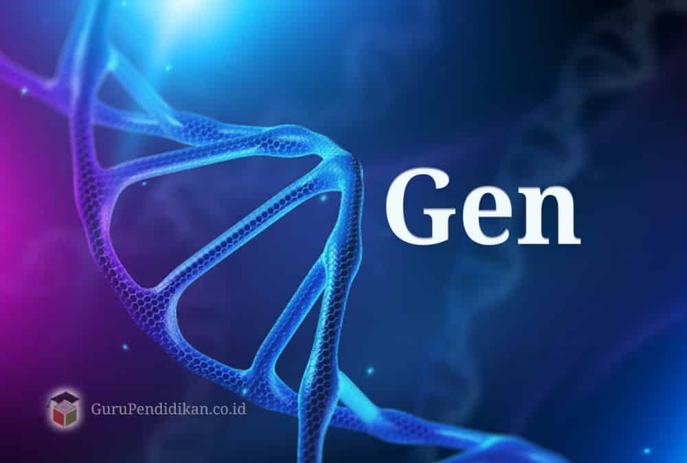 Pengertian Gen Sejarah Struktur Fungsi Sifat Dan Mutasi