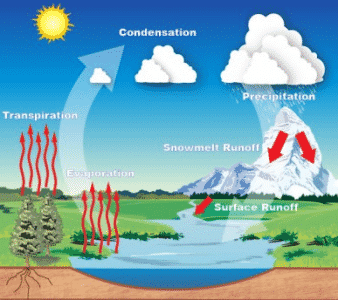 Mengapa kelembaban udara bisa mempengaruhi siklus air