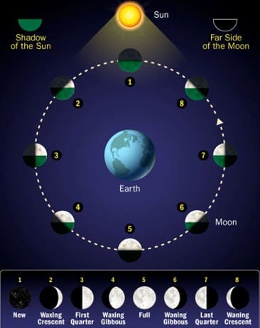 Gaya gravitasi bulan terhadap bumi mengakibatkan terjadinya