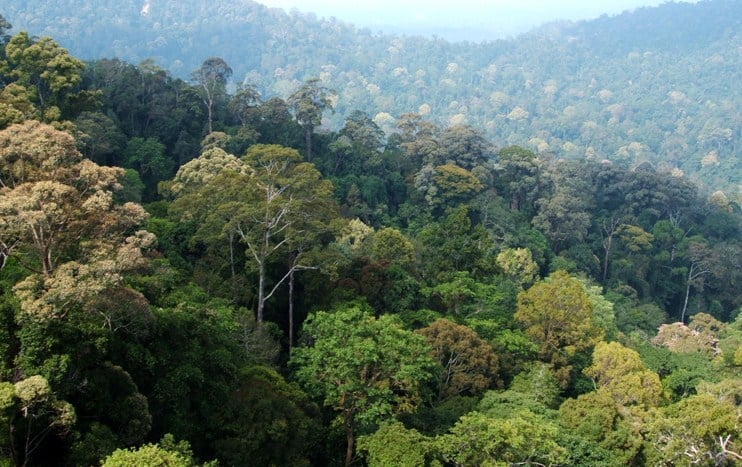 Pengertian Bioma Tundra Taiga Macam Ciri Fungsi Contoh