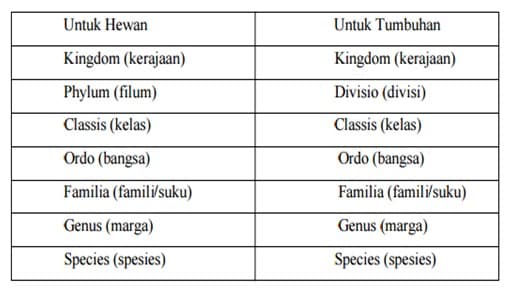 Pada taksonomi dari kingdom ke spesies, kondisi jumlah makhluk hidup yang berbeda dalam setiap takso